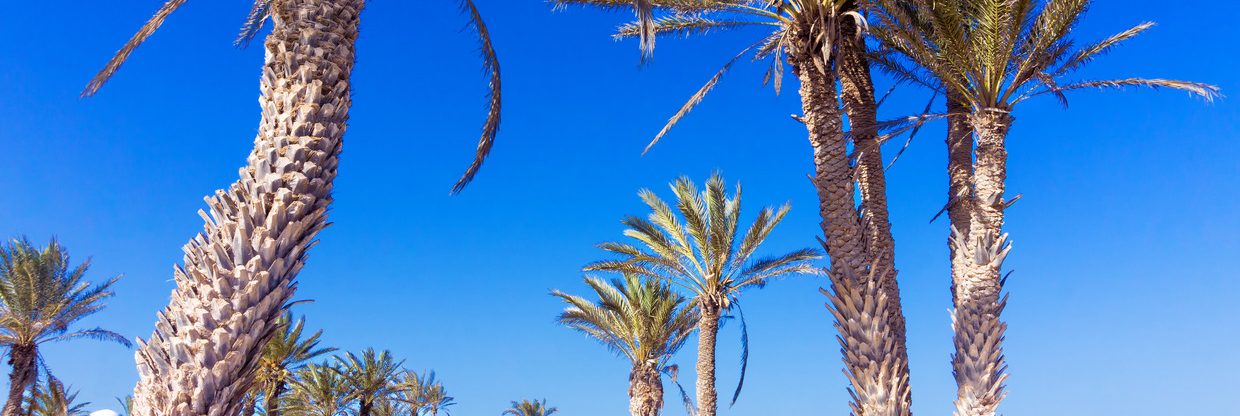 Dubnové zájezdy z Prahy na tuniskou Djerbu: 3* a 4* hotely s all inclusive