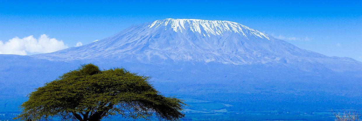 Z Vídně do Tanzanie: na Kilimandžáro či safari
