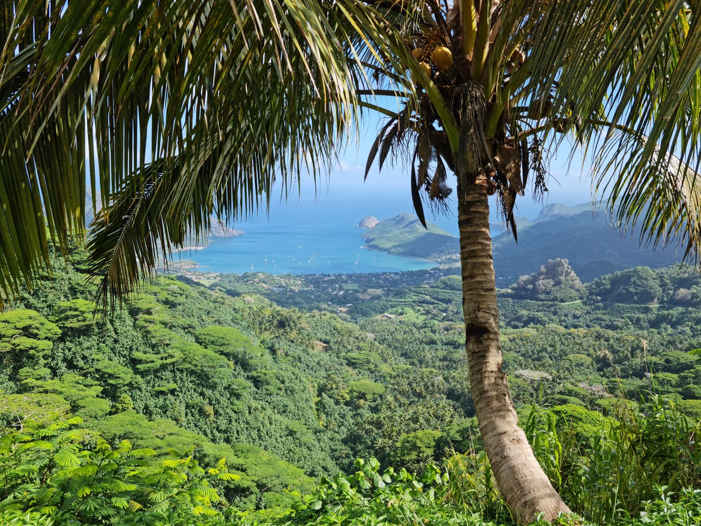 Francouzská Polynésie – 3. díl (Markézy)