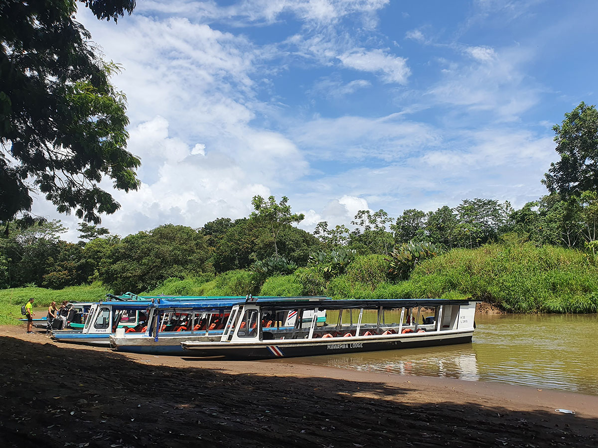 Svatební cesta v divoké Kostarice