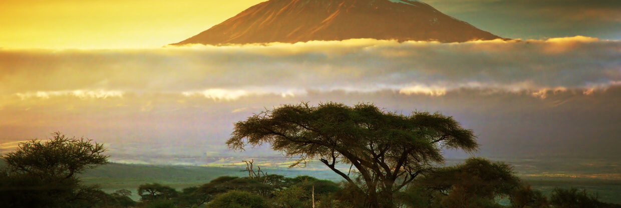 Akční letenky do Keni: Nairobi z Prahy i Vídně