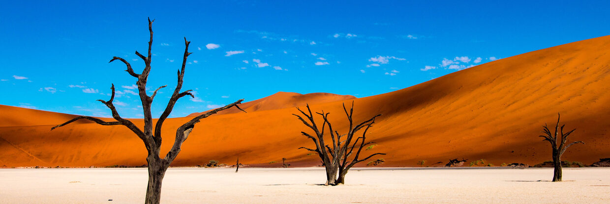 Akční letenky do Namibie: z Vídně do Windhoeku v první polovině roku 2026