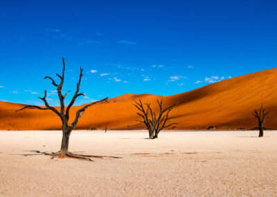 z Vídně do Windhoeku