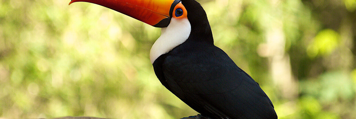 Východní Brazílie: Salvador z Berlína a Mnichova