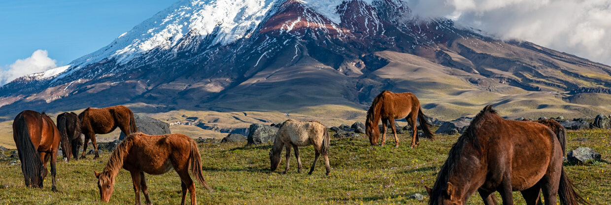 Do Ekvádoru: Quito s odletem z Prahy a návratem do Vídně
