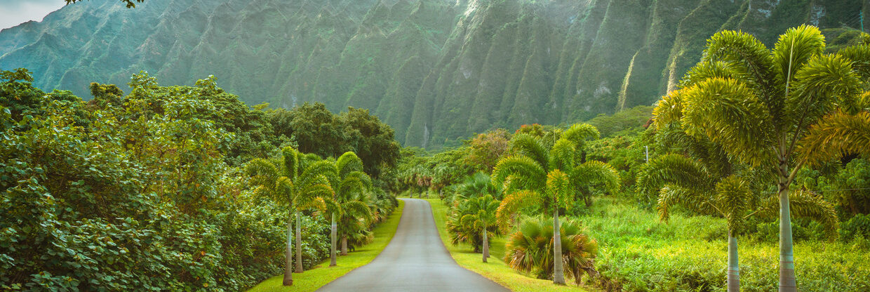 Zpáteční letenky z Berlína na Havaj nejen přes květnové svátky