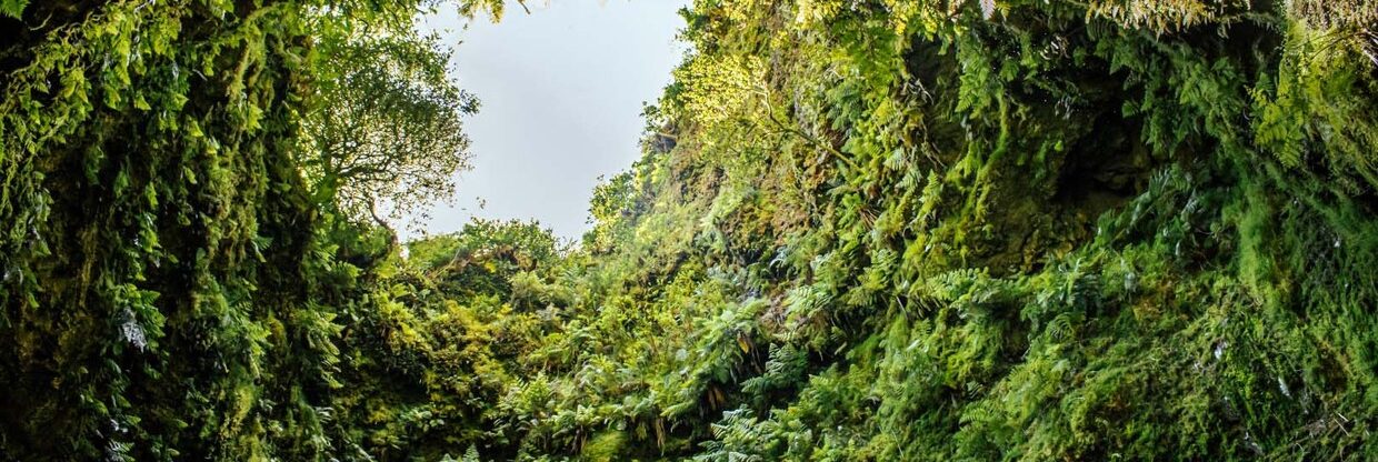 Akční letenky z Vídně na Azorské ostrovy – Terceira o letních prázdninách