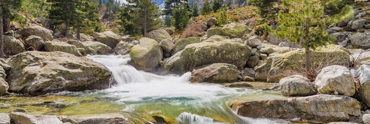 Novinka: Korsika přímým letem z Vídně na příští léto