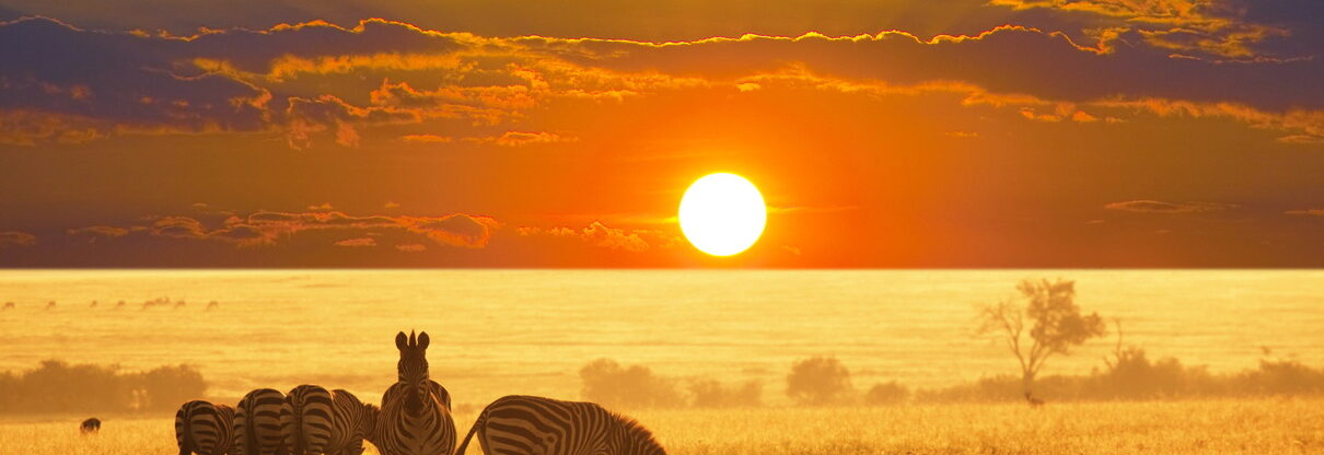 Zpáteční letenky z Vídně do Namibie se 2 odbavenými bágly