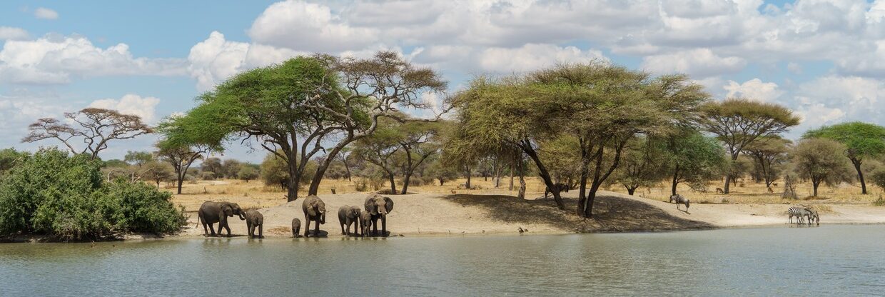 Východoafrická Tanzanie: z Vídně do Dar es Salaamu s Ethiopian Airlines