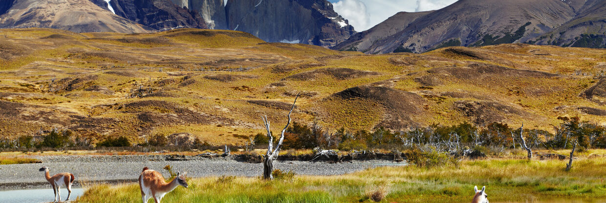 Chile v akci: odlet z Prahy, návrat do Berlína a odbavený bágl v ceně