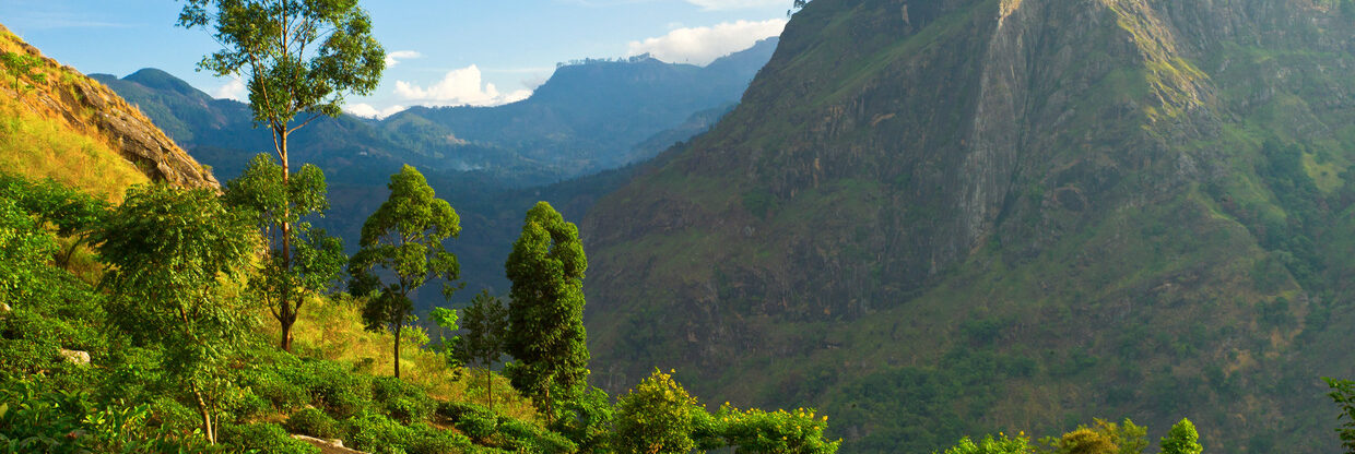 Srí Lanka z Mnichova a Vídně na super termíny s Etihadem