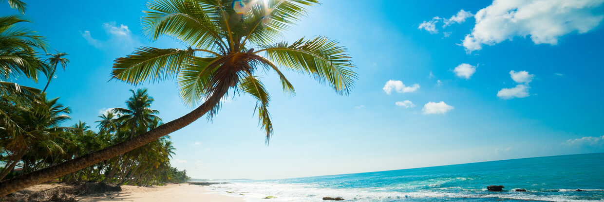 Jižní a JV Asie + Afrika aneb výprodej u Air Arabia: letenky z Krakova a Vídně