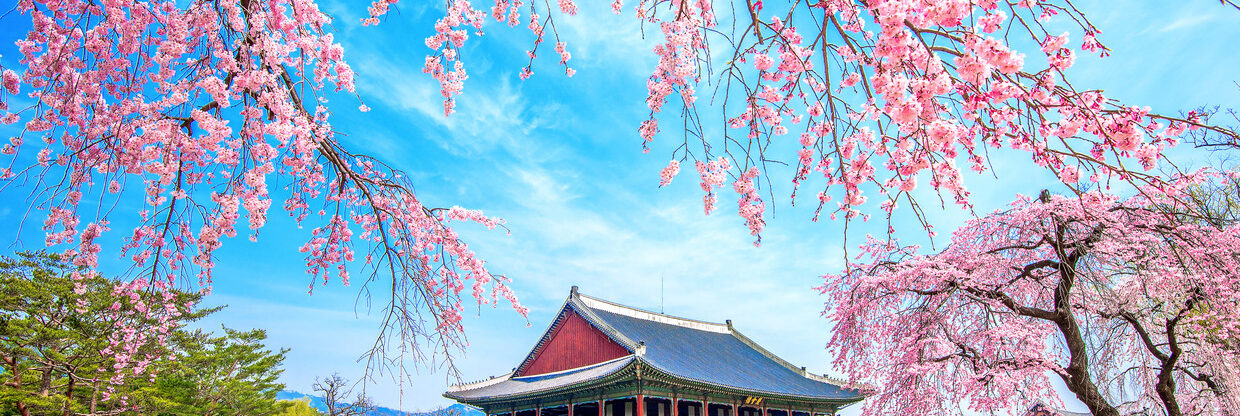 Jarní Jižní Korea: letenky z Vídně i Prahy do Soulu